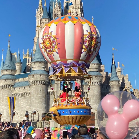 Meet your Posher, Imperial Jay - Picture 7 of 8